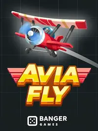 Avia Fly crash at E667